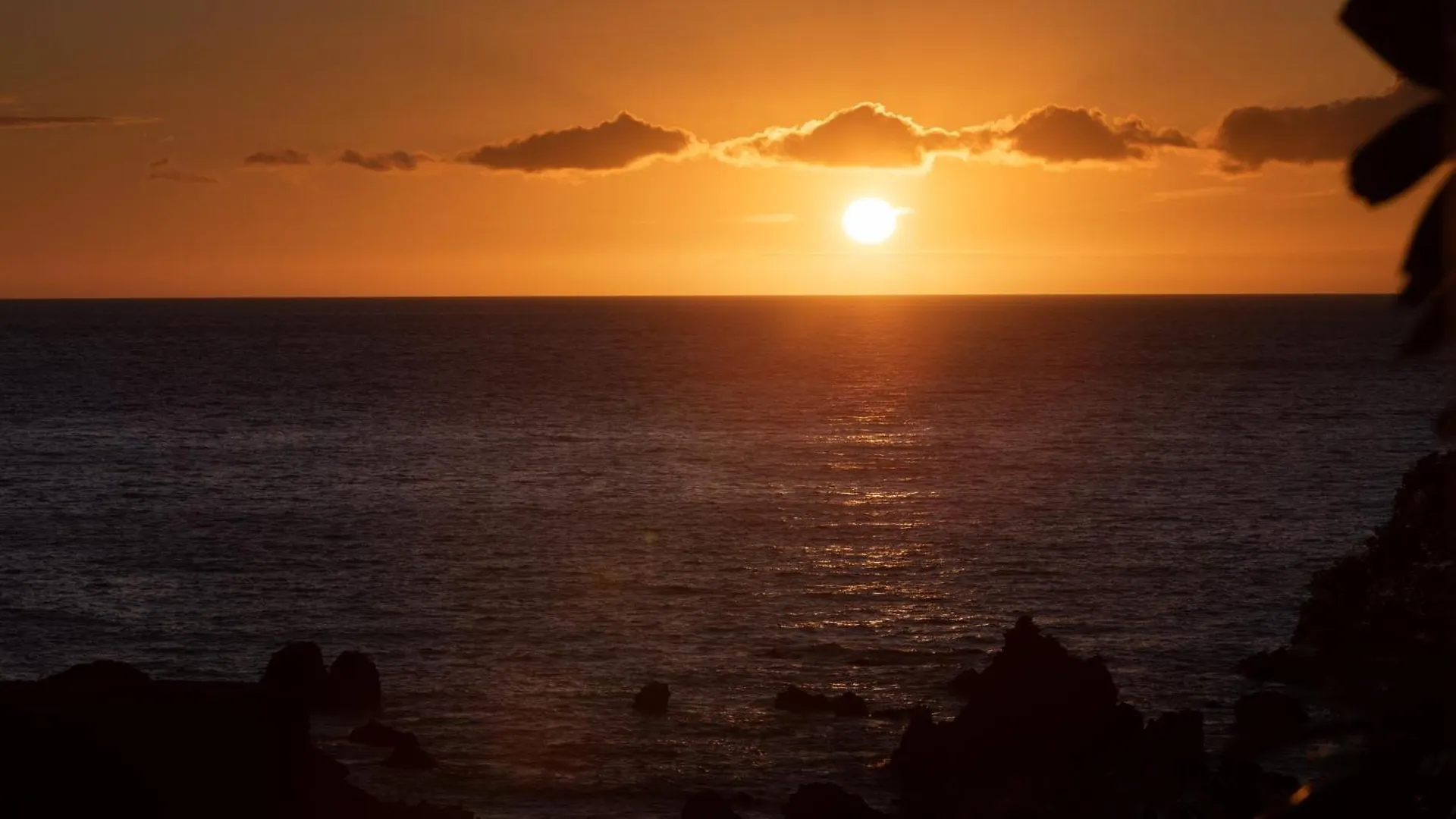 Apartment Ocean Gem Villa Brilliant 2Br Home With Amazing Coastline View Waikoloa United States